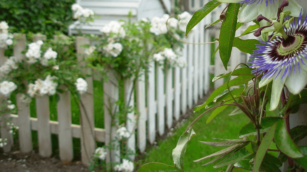 Pose de Clôtures et Grillages à Reichstett